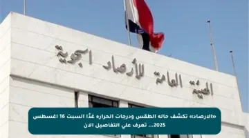 «الأرصاد» تكشف حالة الطقس ودرجات الحرارة غدًا السبت 16 أغسطس 2025… تعرف على التفاصيل الآن